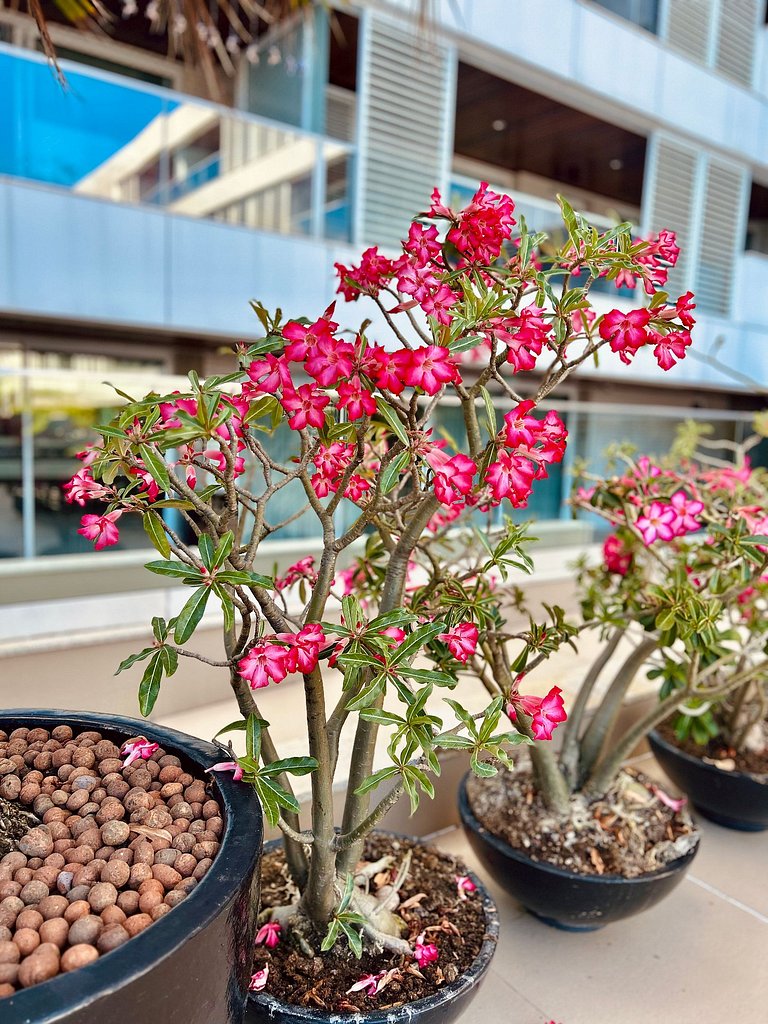 Solar Tambaú: Apartamentos com vistas Espetaculares